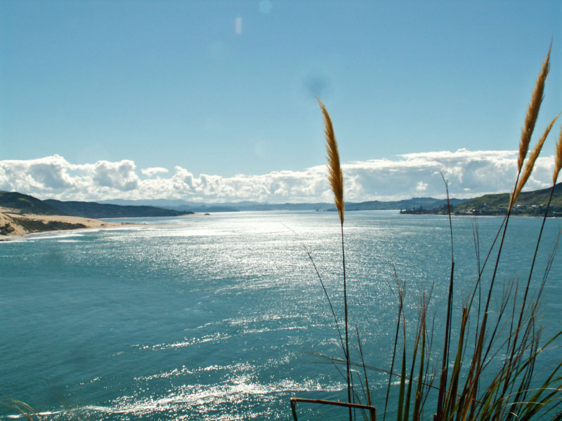 Hokianga-2